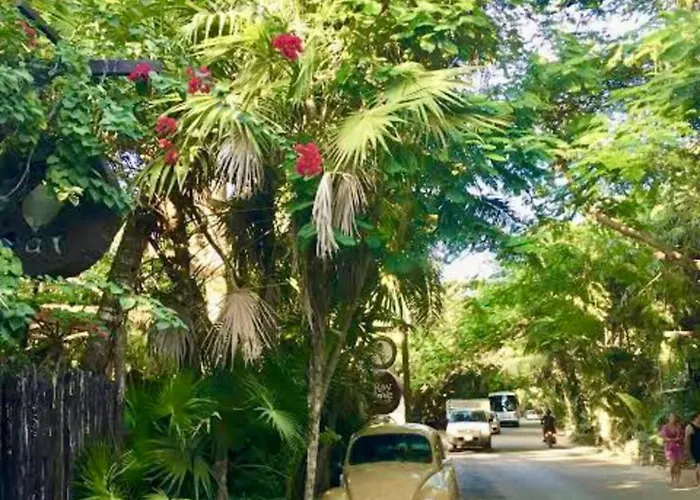 Luxury Oasis! 2 Poolsprivate & Swimupfree Extras