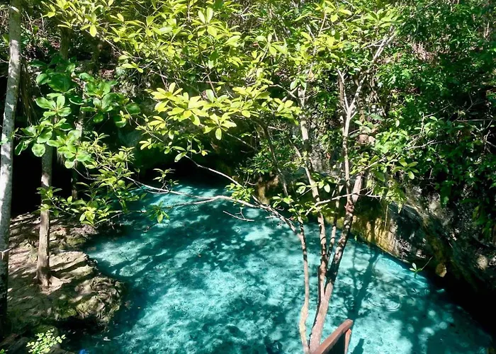 Luxury Oasis! 2 Poolsprivate & Swimupfree Extras *